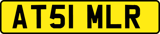 AT51MLR