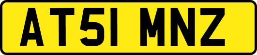 AT51MNZ