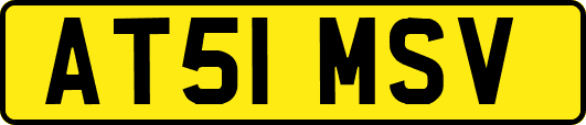 AT51MSV