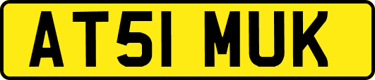 AT51MUK