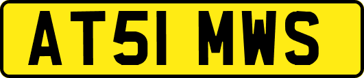 AT51MWS