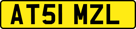 AT51MZL
