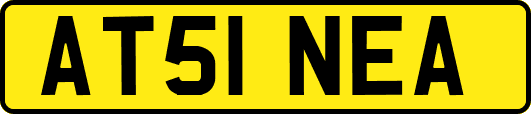 AT51NEA