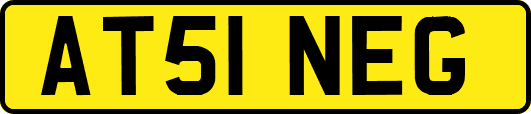 AT51NEG