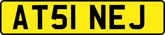AT51NEJ