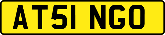 AT51NGO