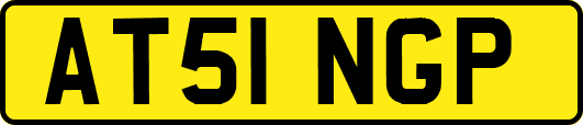 AT51NGP