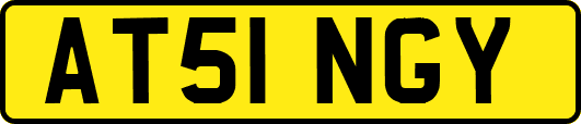 AT51NGY