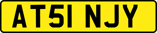 AT51NJY