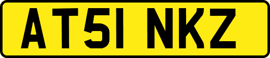 AT51NKZ
