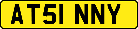 AT51NNY