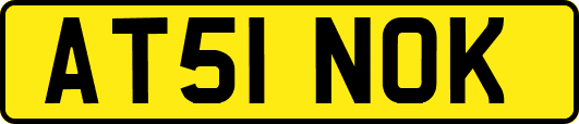 AT51NOK