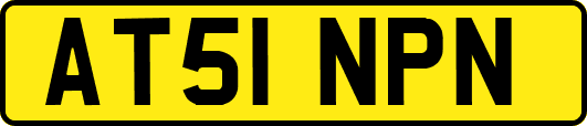 AT51NPN