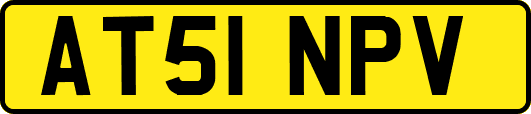 AT51NPV