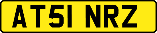 AT51NRZ