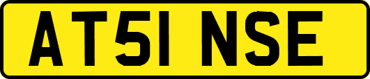 AT51NSE