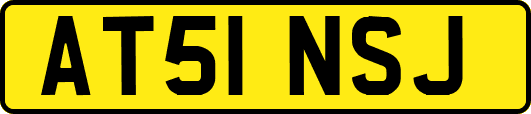 AT51NSJ