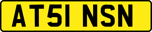 AT51NSN