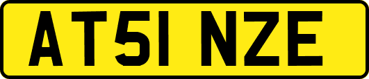 AT51NZE