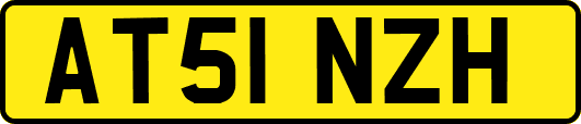 AT51NZH