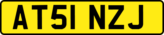 AT51NZJ