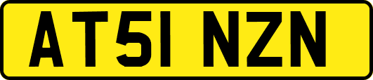 AT51NZN