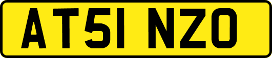 AT51NZO