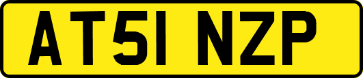 AT51NZP