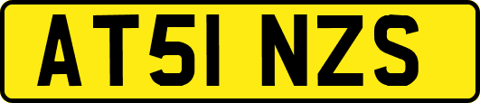 AT51NZS