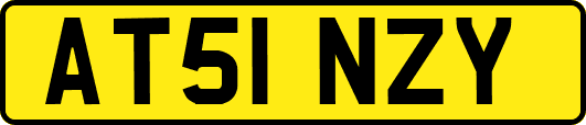 AT51NZY