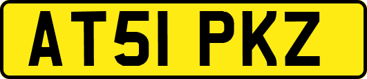 AT51PKZ