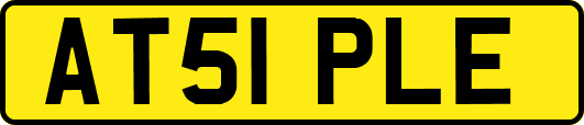 AT51PLE