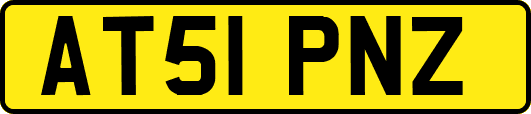 AT51PNZ