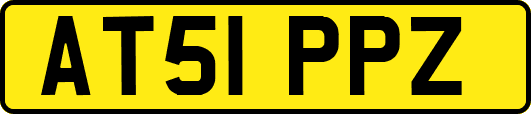 AT51PPZ