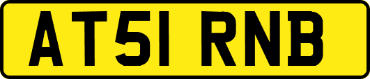 AT51RNB