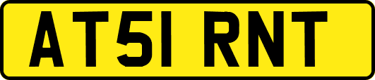 AT51RNT