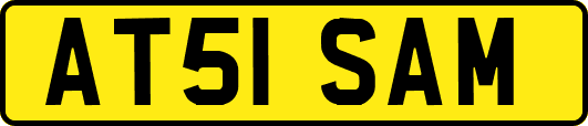 AT51SAM