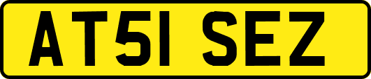AT51SEZ