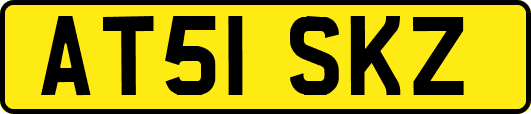 AT51SKZ