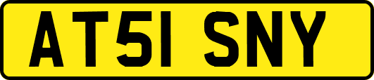 AT51SNY