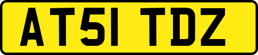 AT51TDZ