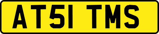 AT51TMS