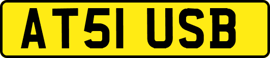 AT51USB
