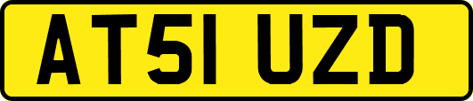 AT51UZD