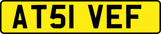 AT51VEF
