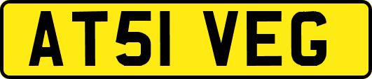 AT51VEG