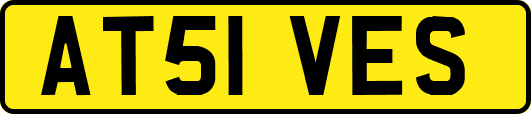 AT51VES