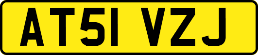 AT51VZJ