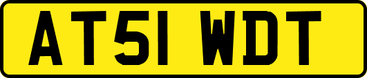 AT51WDT