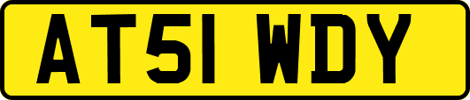 AT51WDY